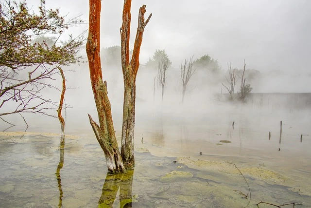 Rotorua